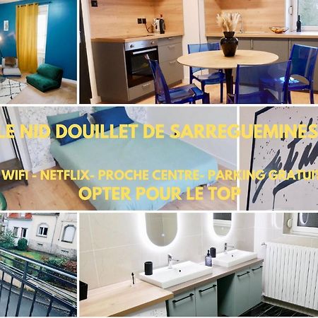 Le Nid Douillet De Sarreguemines Apartment Exterior foto